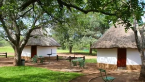 Cleaner Vacancies at Sanparks Applying Details