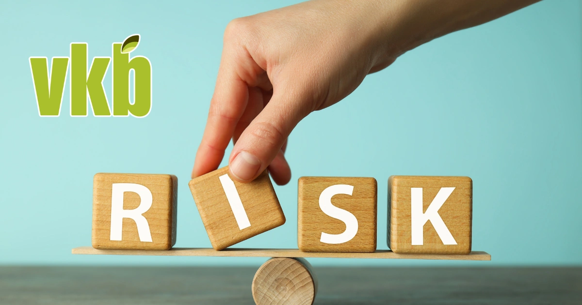 Risk Manager Roles Open at VKB Group in Free State