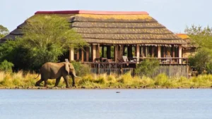 SANParks Internship Application Details
